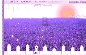 燃烧吧大脑装瓶子游戏